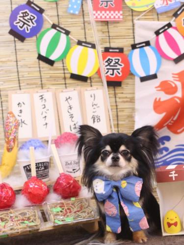 20240714アリューくん